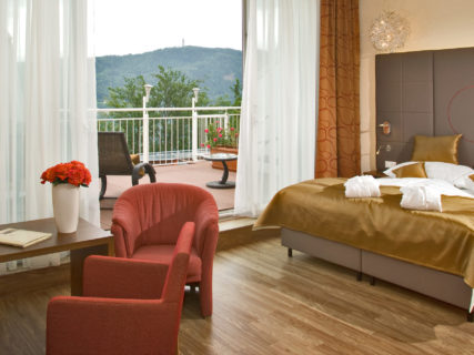 Panoramahotel Balance GmbH - Zimmer