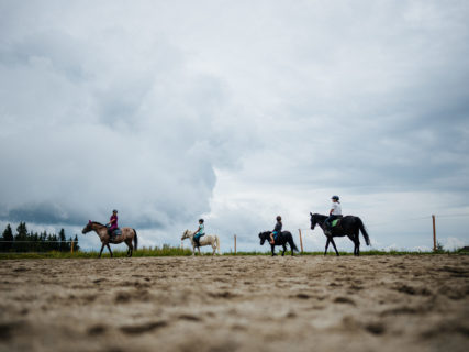 Bergeralm Hotelbetriebsgesellschaft m.b.H. - Pferde