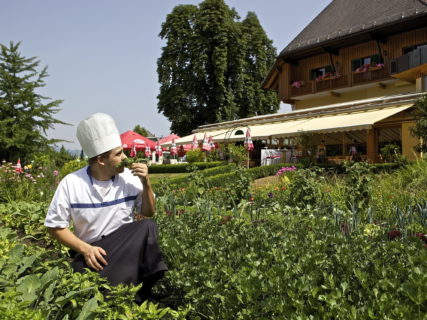 Zollner Herwig Wolfgang