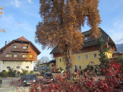 Hotel Zollner Herwig Wolfgang