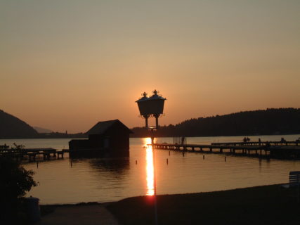 Seerose - Abendstimmung